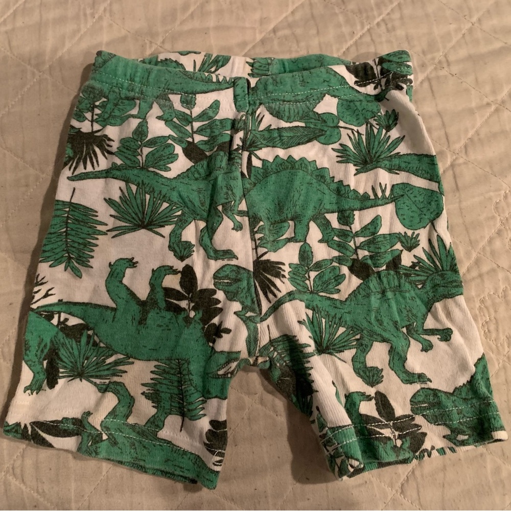 Carter’s- 18 months- boys green dinosaur shorts- stain on back.